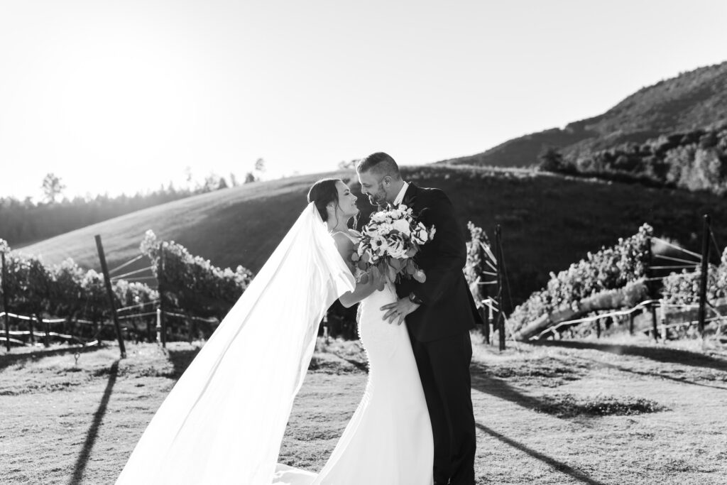 Groom dips bride back in Kensington Vineyard at Yonah Mountain Vineyard